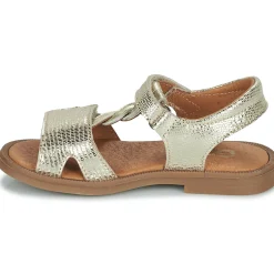 GBB - FARENA Doré New