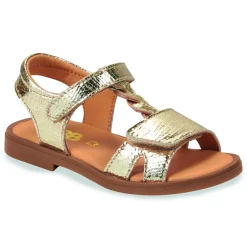 Discount GBB - FARENA Doré