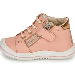 GBB - FLEXOO LOVELY Rose Best