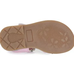 GBB - FLORABELLE Rose