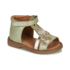 GBB - IGALE Vert Online