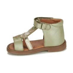 GBB - IGALE Vert Online