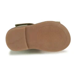 GBB - IGALE Vert Online