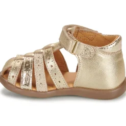 New GBB - JINETTE Doré