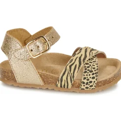 Hot GBB - KLEMENCE Doré