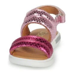 Discount GBB - LALA Rose