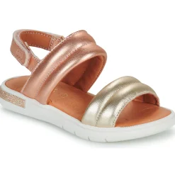 GBB - LALA Doré New