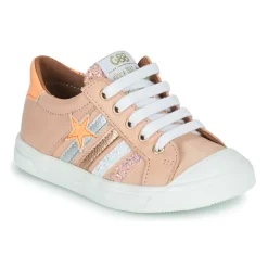 GBB - LOMIA Rose New