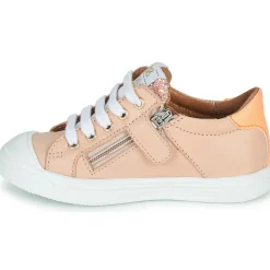 GBB - LOMIA Rose New