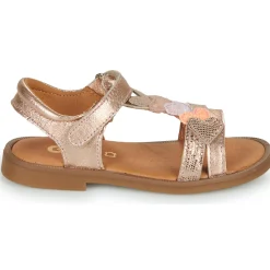 GBB - MAISIE Rose Clearance