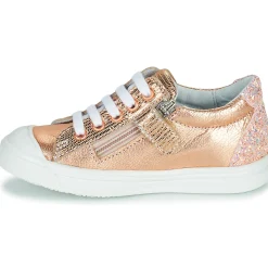 GBB - MATIA Rose Best