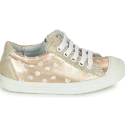 Online GBB - MATIA Doré