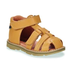 GBB - MITRI Marron Online