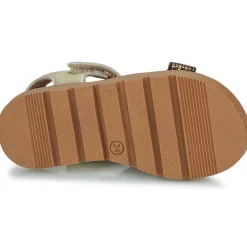 GBB - MYRTILLE Doré