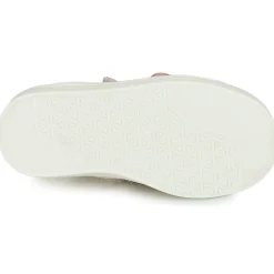 GBB - NOELLA Rose Best