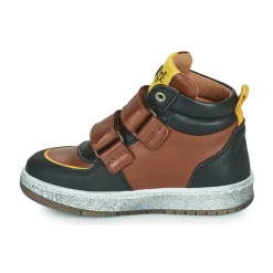 Online GBB - ODAFI Marron