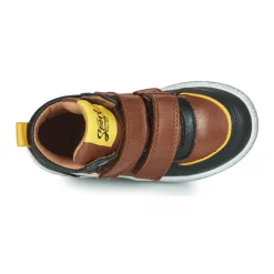 Online GBB - ODAFI Marron