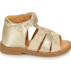 GBB - OLENA Doré Hot