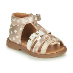 Best GBB - OLLIE Doré