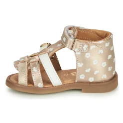 Best GBB - OLLIE Doré