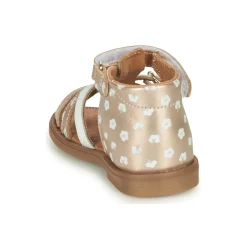 Best GBB - OLLIE Doré