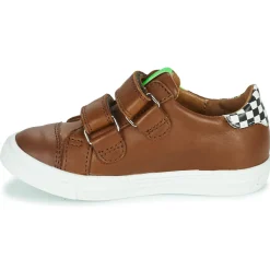 New GBB - ORSO Marron