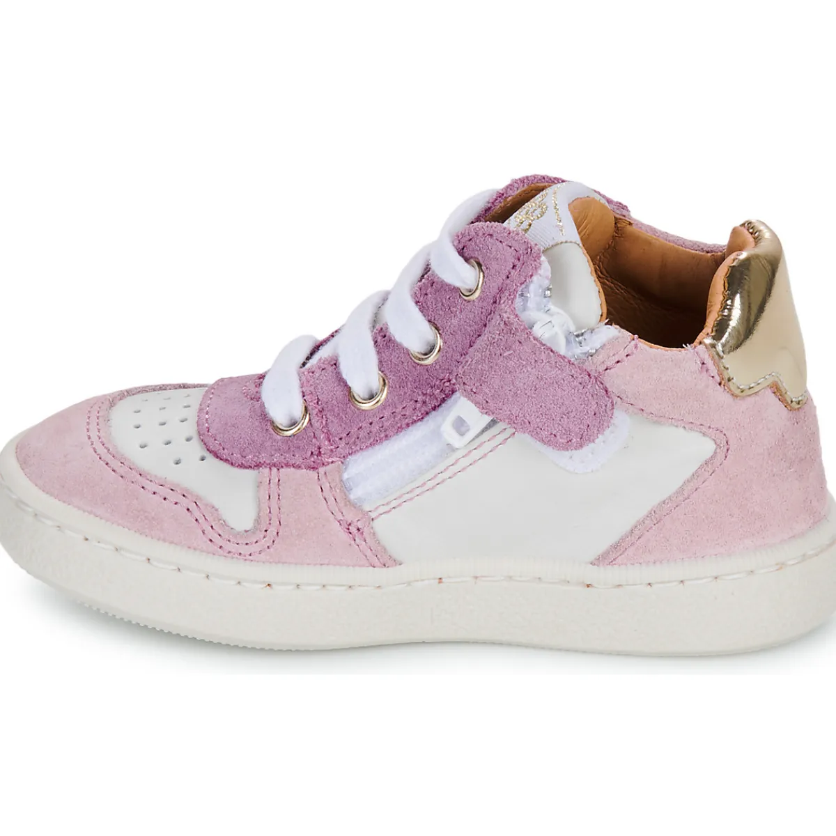 GBB - OSMAN TWIST Rose Sale