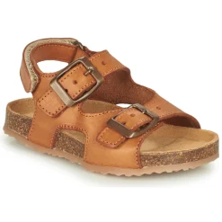 GBB - PARITO Marron Online