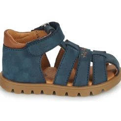 GBB - POLITO Bleu Best