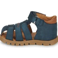 GBB - POLITO Bleu Best