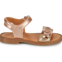 GBB - PRUNELLE Rose Online