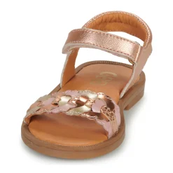 Clearance GBB - PRUNELLE Rose