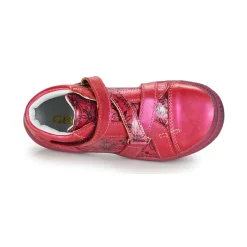 Online GBB - RADEGONDE Rose