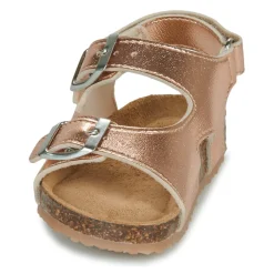 Hot GBB - REBECCA Rose