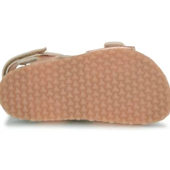 Hot GBB - REBECCA Rose