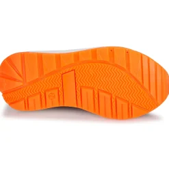 Online GBB - REINETTE Bleu