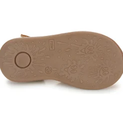 GBB - RICARDO Marron