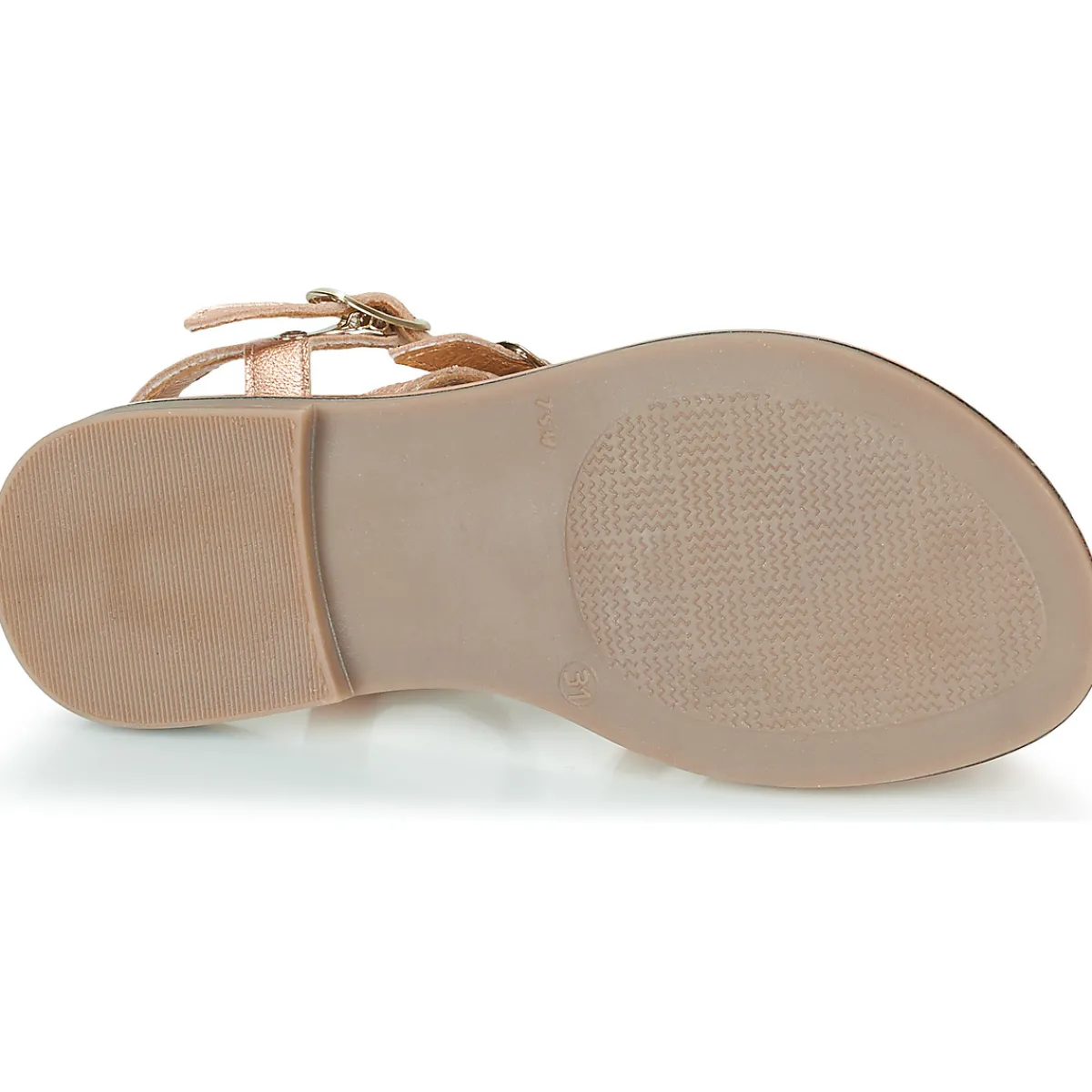 GBB - SERAPHINE Rose Best