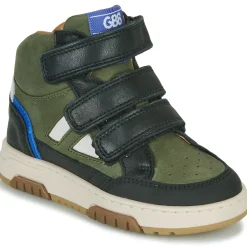 GBB - TARCISSE Vert Online