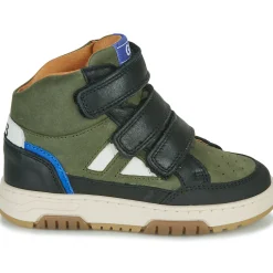 GBB - TARCISSE Vert Online