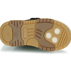 GBB - TARCISSE Vert Online