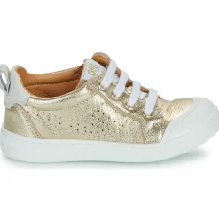 GBB - TARO TWIST Doré Online