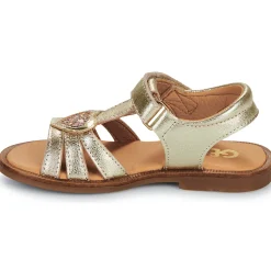 Best GBB - ZEALINE Doré