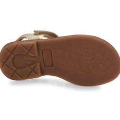 Best GBB - ZEALINE Doré