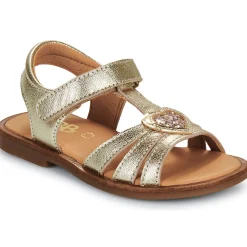 New GBB - ZEALINE Doré