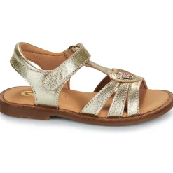 New GBB - ZEALINE Doré