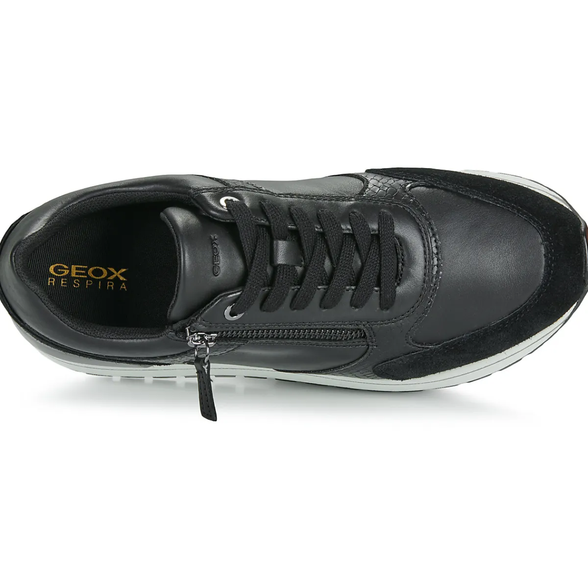 Clearance Geox - D NEW KENCY Noir