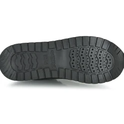 Clearance Geox - D NEW KENCY Noir