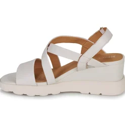 Geox - D SPHERICA EC6 Beige