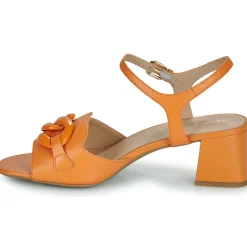 Geox - D55YQC000TUC2008 Orange Online